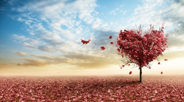 love-autumn-tree_759_thinkstockphotos-177812216